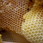 Miel - lutter contre la fatigue