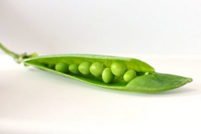 légumes de printemps - petit pois