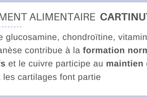 Complément alimentaire pour les articulations, cartinutril LMP Santé