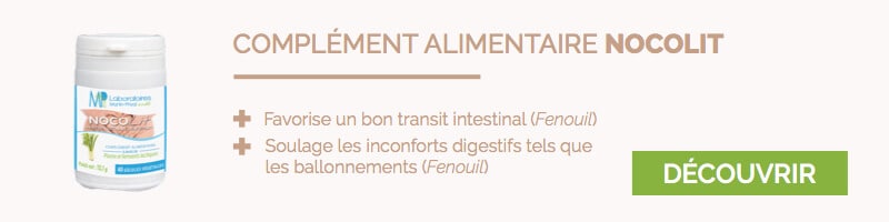 nocolit - aliments alliés du ventre plat - lmp santé