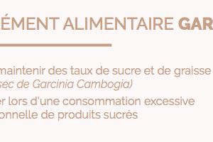 astuces pour perdre la graisse de votre ventre - garcinia cambogia - lmp santé