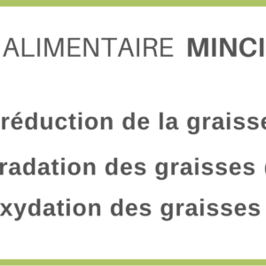 Complément alimentaire - Minci flash Brûleur de graisse naturel - LMP Santé