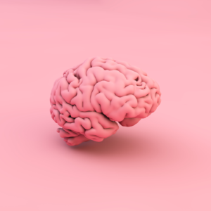 Article : rentree quelles vitamines pour la mémoire - LMP Santé