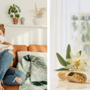 Préparer l'automne avec une cure de gelée royale - article blog LMP Santé